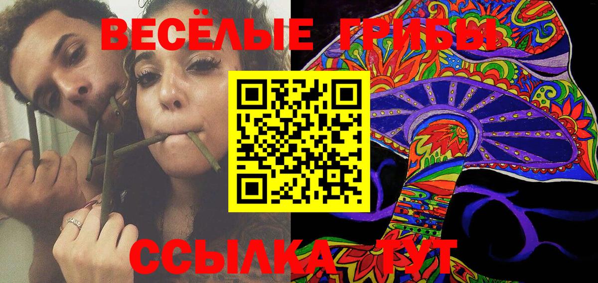 Кирово-Чепецк  Галлюциногенные грибы MAGIC MUSHROOMS  Вход с VPN 